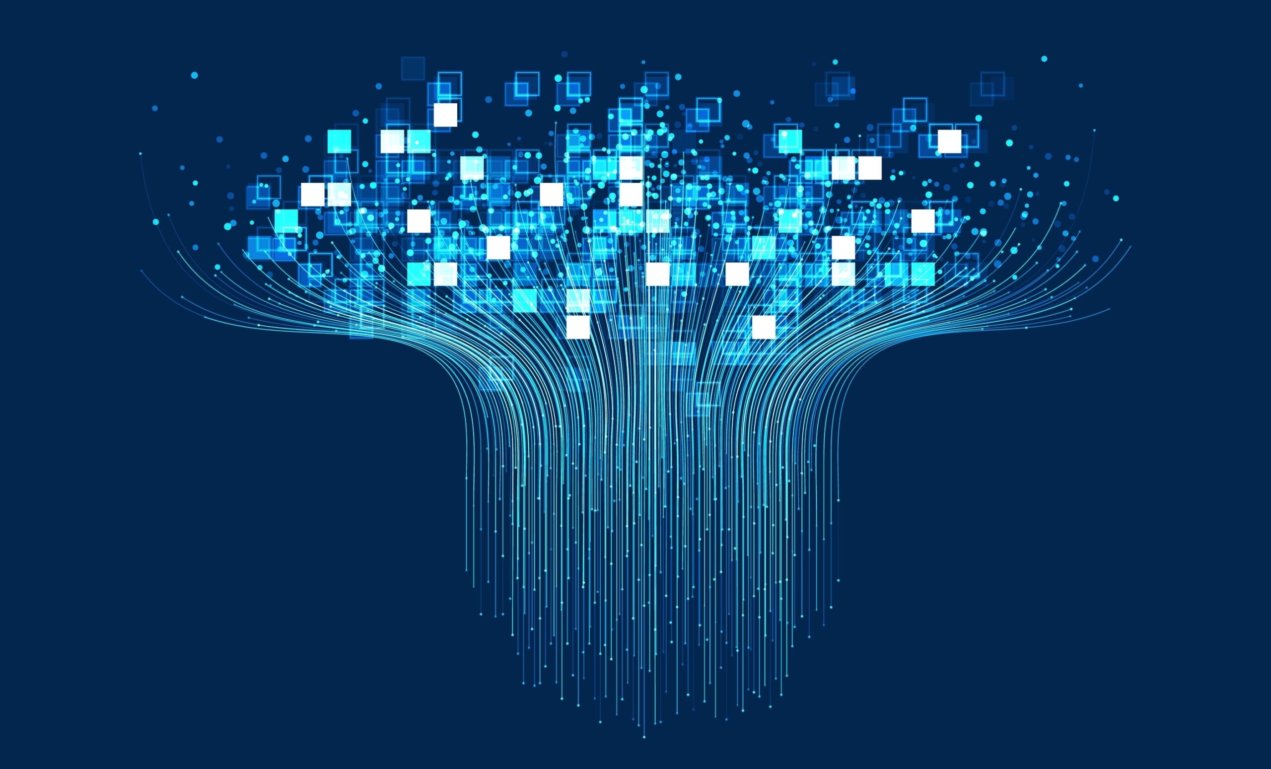 Using ITAM as a business enabler